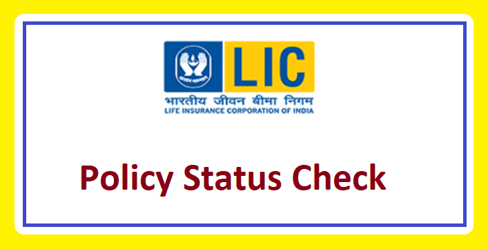 k lic policy status