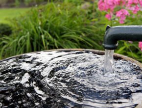 Rainwater Harvesting: A Sustainable Way to Boost the Economy