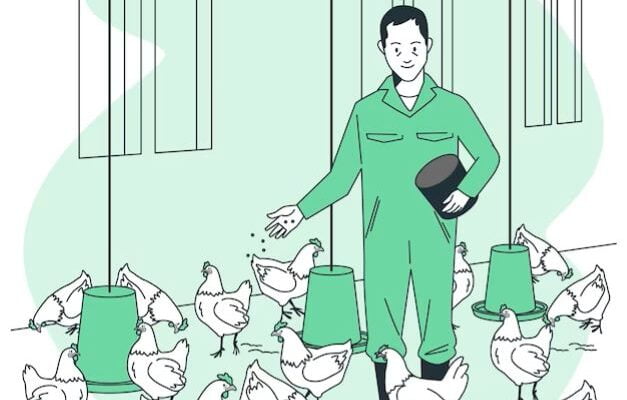 Poultry Farm Business Plan