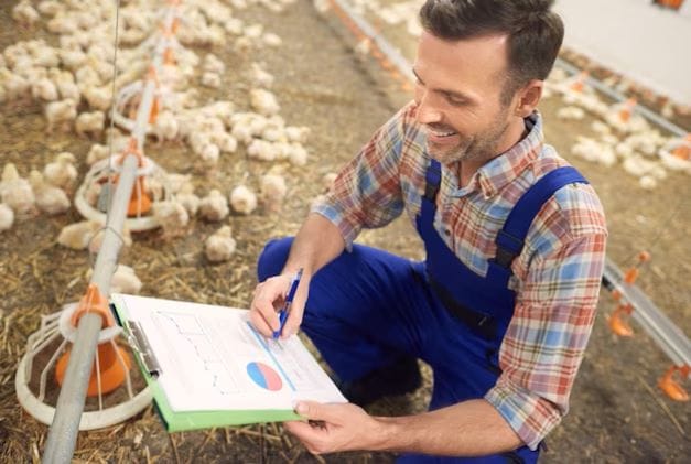 Poultry Farm Business Plan