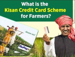 Kisan Credit Card: Get the Loan You Need for Your Farm